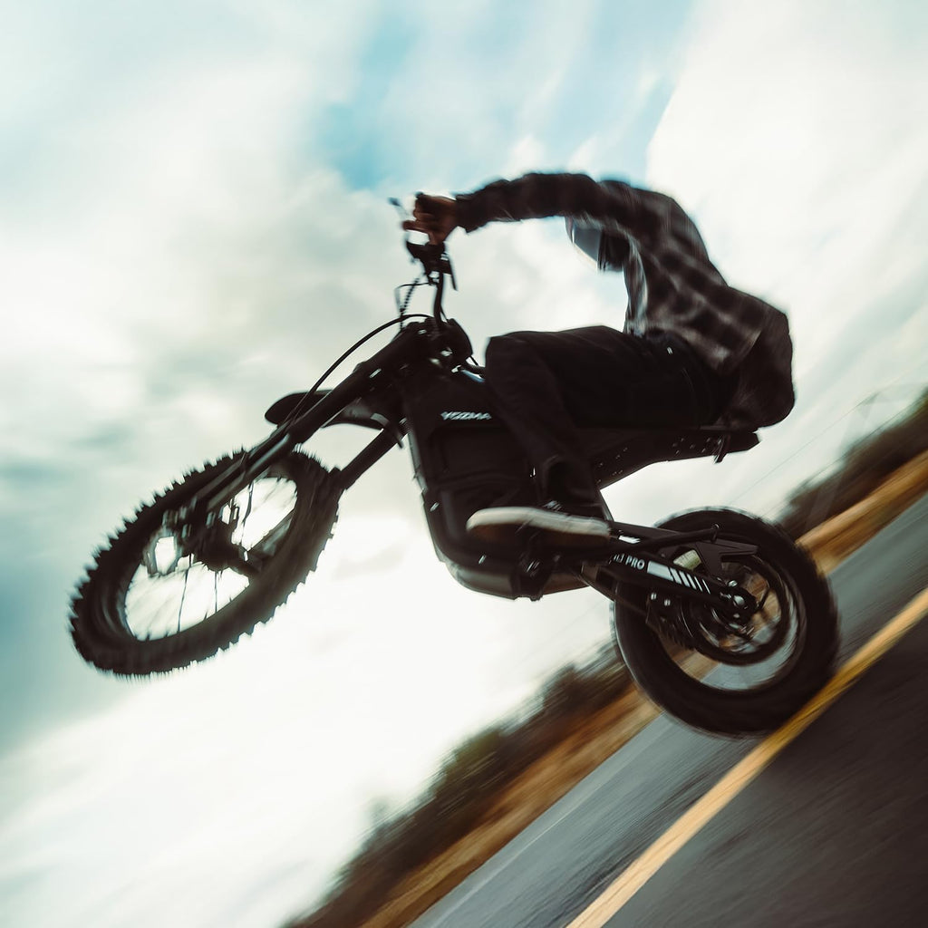 IN10 Pro Electric Dirt Bike, 5500 Peak Mid- Drive Motor, 80KMH Max Speed Ebike, 60V 27AH Bttery with 60 Miles Max Range, 17''/14'' Off-Road Tires, Hydraulic Brakes & Dual Shock Absorption