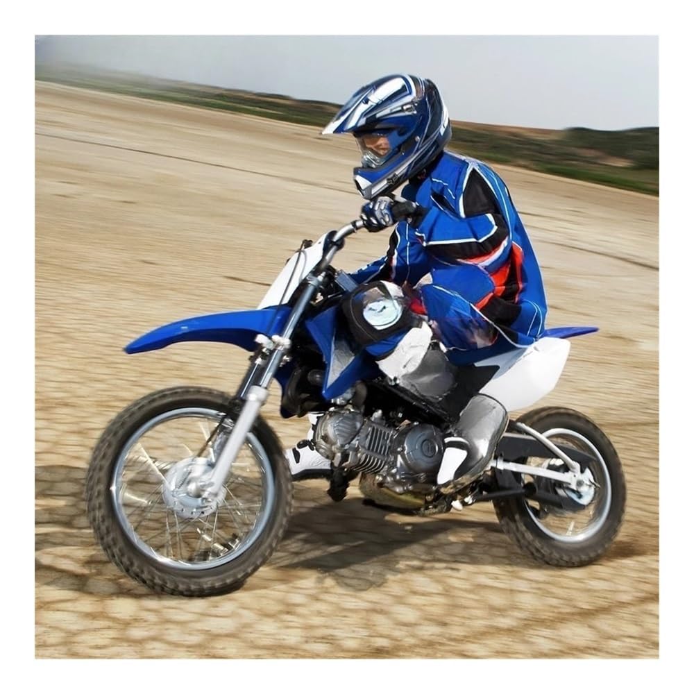 Motorcycle Side Panel Fairing Motorcycle Fairing Body Side Protector Fairing Body Kit for TTR110 TTR 110 2008 2009 2010 2011 2012 2013 2014 2015 110-200CC